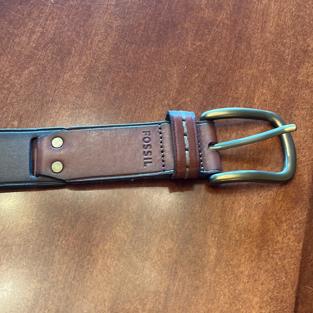 Fossil Belt - Picture 2 of 5